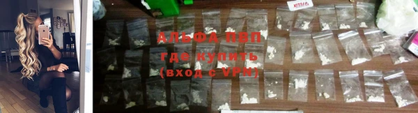 гашик Белоозёрский