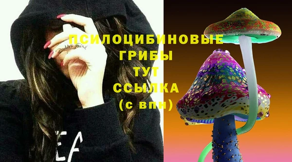 соль ск Беломорск