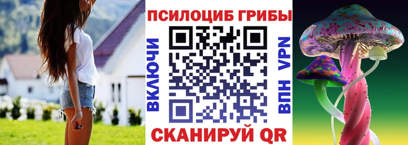 купить наркотик  Верхний Тагил  Галлюциногенные грибы мухоморы 